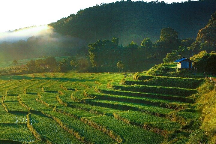 3 em 1: Excursão Doi Inthanon, Santuário de Elefantes e Trilha de Trekking