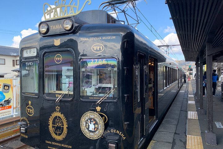 Det bedste ved Wakayama City Private Tour