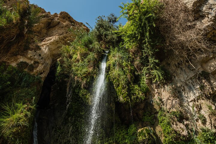 Dead Sea, Masada and Ein Gedi Day Tour from Jerusalem