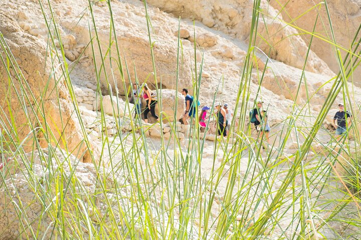 Dead Sea, Masada and Ein Gedi Day Tour from Jerusalem