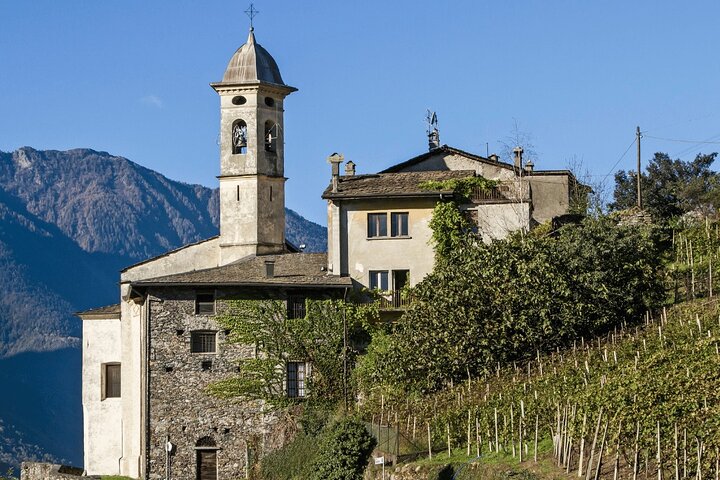 Privat Valtellina-tur med vinsmagning og frokost