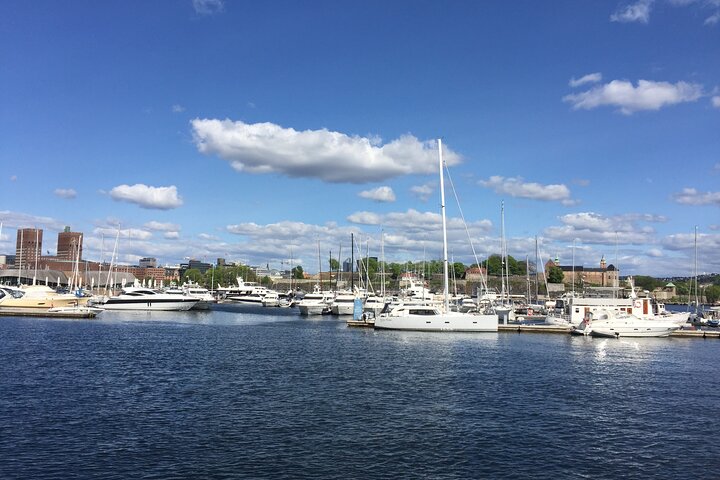 Hoogtepunten van de stad Oslo met fjordencruise