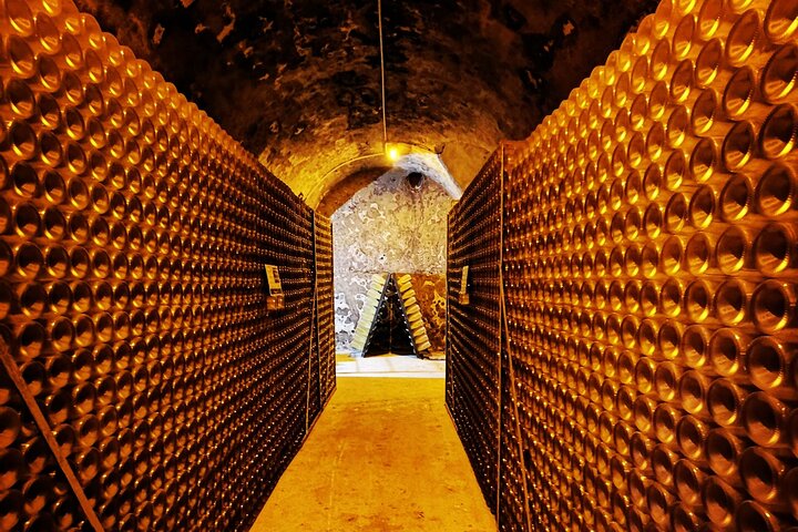 Excursion d'une journée au Champagne au départ de Reims avec 9 dégustations de Champagne