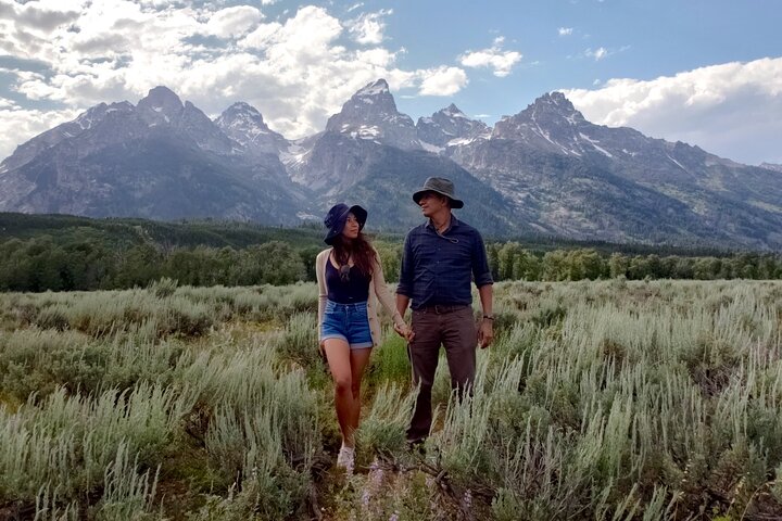 Grand Teton Wildlife Safari em um veículo fechado ou ao ar livre (dependendo da época)