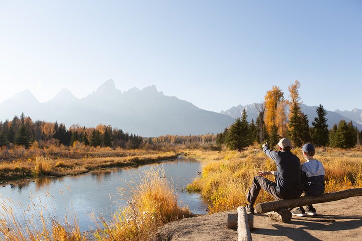 Grand Teton Wildlife Safari em um veículo fechado ou ao ar livre (dependendo da época)