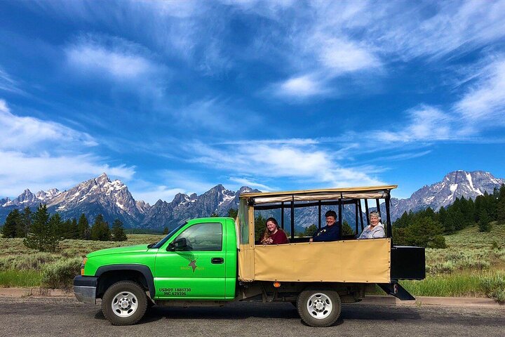 Grand Teton Wildlife Safari em um veículo fechado ou ao ar livre (dependendo da época)
