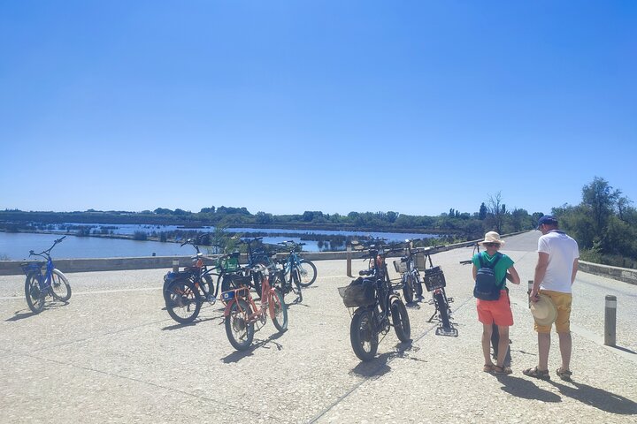 Feliz passeio pela Camargue, visita, passeio, excursão de bicicleta elétrica