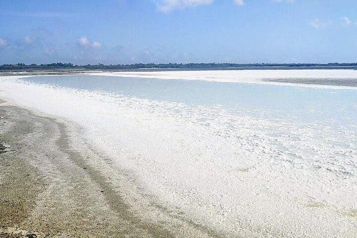 Feliz passeio pela Camargue, visita, passeio, excursão de bicicleta elétrica
