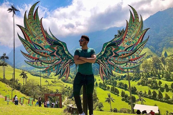 Salento, Cocora e Filandia Private Tour de Pereira ou Armênia
