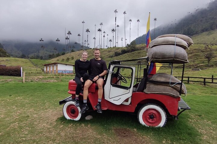 Salento, Cocora e Filandia Private Tour de Pereira ou Armênia