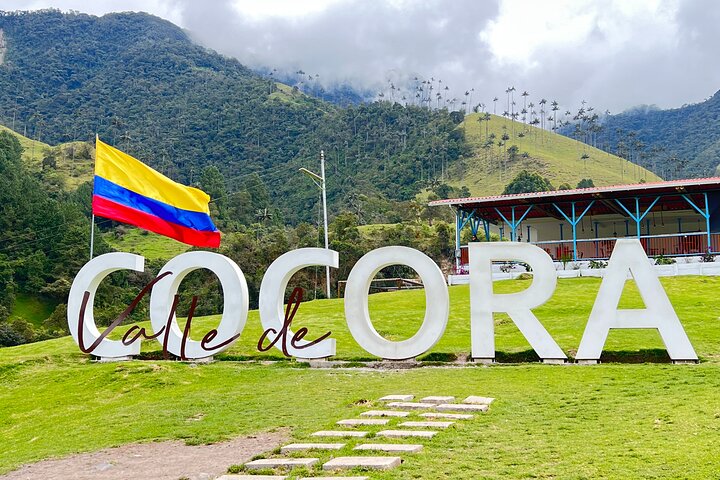 Salento, Cocora e Filandia Private Tour de Pereira ou Armênia