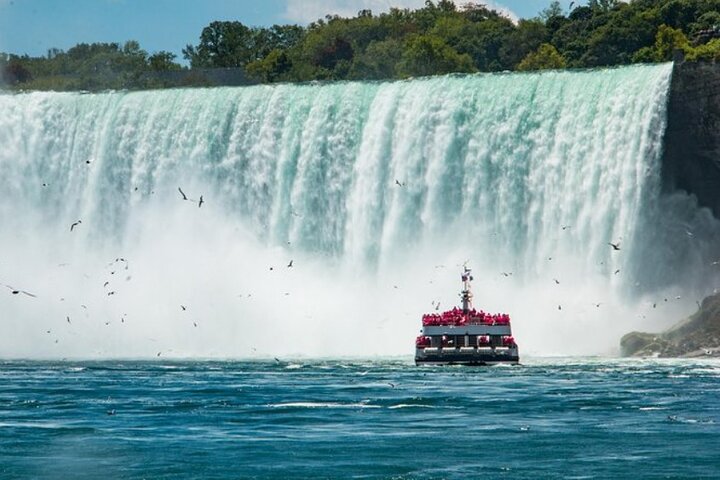 Dagstur till Niagarafallen inkluderar båtkryssning, vingårdsstopp och lunch