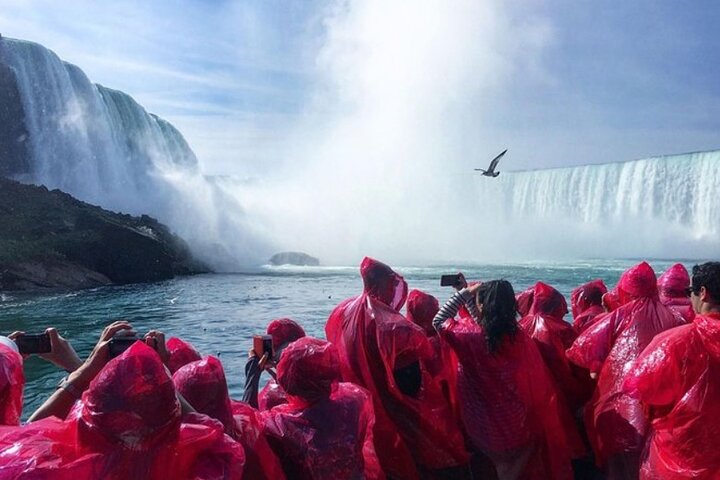 Dagstur till Niagarafallen inkluderar båtkryssning, vingårdsstopp och lunch