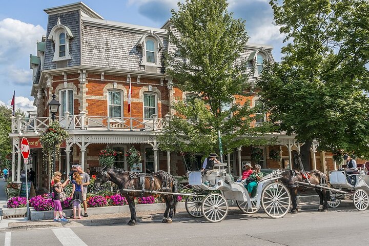 Dagstur till Niagarafallen inkluderar båtkryssning, vingårdsstopp och lunch