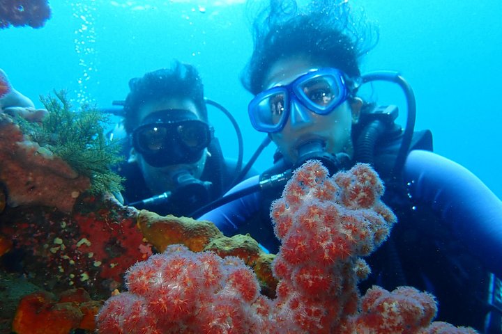 Buceo en el naufragio del USS Liberty de Tulamben Bali