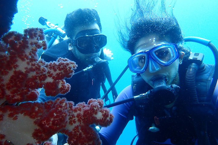 Buceo en el naufragio del USS Liberty de Tulamben Bali
