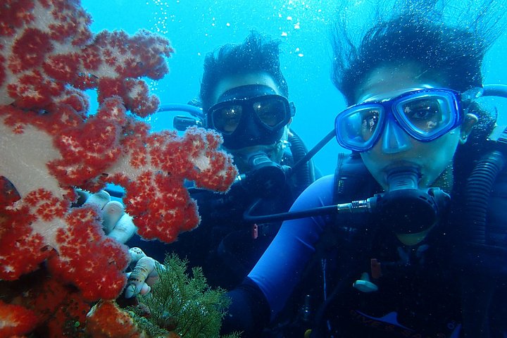 Buceo en el naufragio del USS Liberty de Tulamben Bali