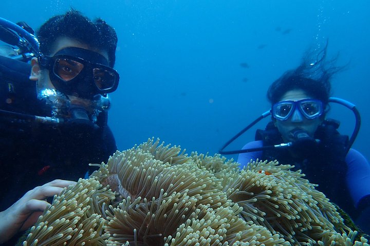 Buceo en el naufragio del USS Liberty de Tulamben Bali