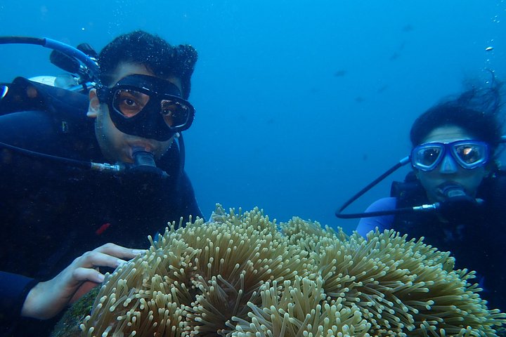 Buceo en el naufragio del USS Liberty de Tulamben Bali