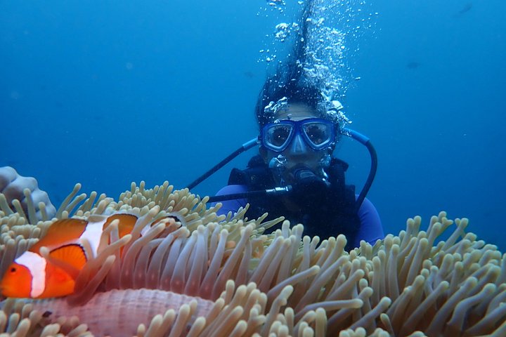 Buceo en el naufragio del USS Liberty de Tulamben Bali