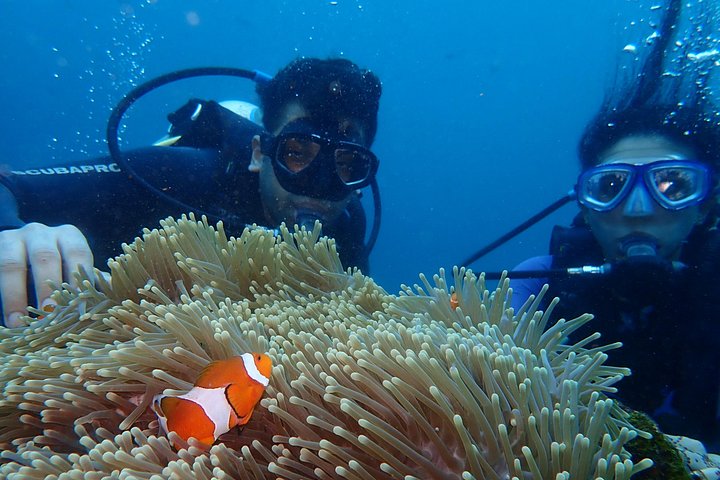 Buceo en el naufragio del USS Liberty de Tulamben Bali