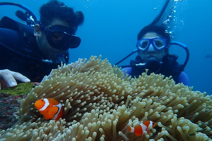 Buceo en el naufragio del USS Liberty de Tulamben Bali
