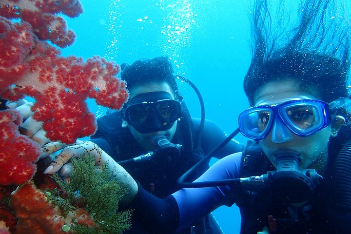 Buceo en el naufragio del USS Liberty de Tulamben Bali