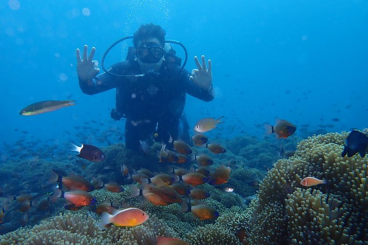 Buceo en el naufragio del USS Liberty de Tulamben Bali
