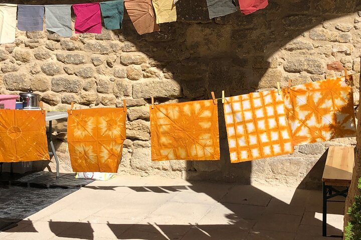 Introduzione privata al colore delle piante a Forcalquier in Provenza