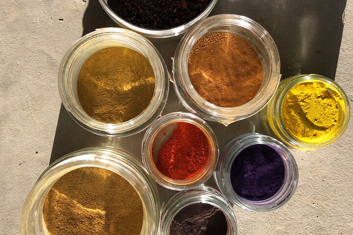 Introduzione privata al colore delle piante a Forcalquier in Provenza