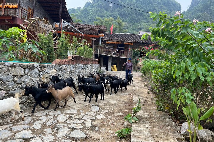 Trekking Ban Gioc Waterfall al villaggio nascosto su un percorso unico