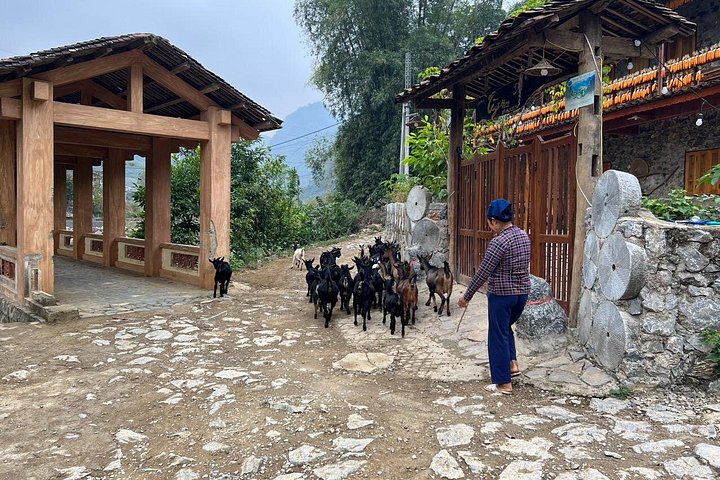 Trekking Ban Gioc Waterfall al villaggio nascosto su un percorso unico