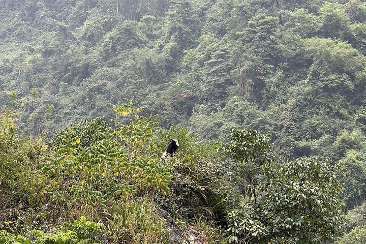 Trekking Ban Gioc Waterfall al villaggio nascosto su un percorso unico