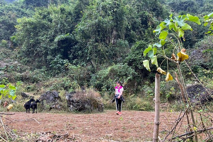 Trekking Ban Gioc Waterfall al villaggio nascosto su un percorso unico