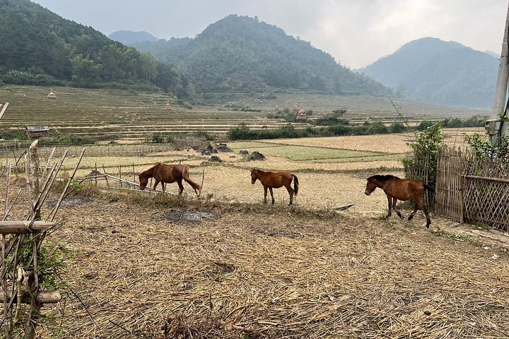 Trekking Ban Gioc Waterfall al villaggio nascosto su un percorso unico
