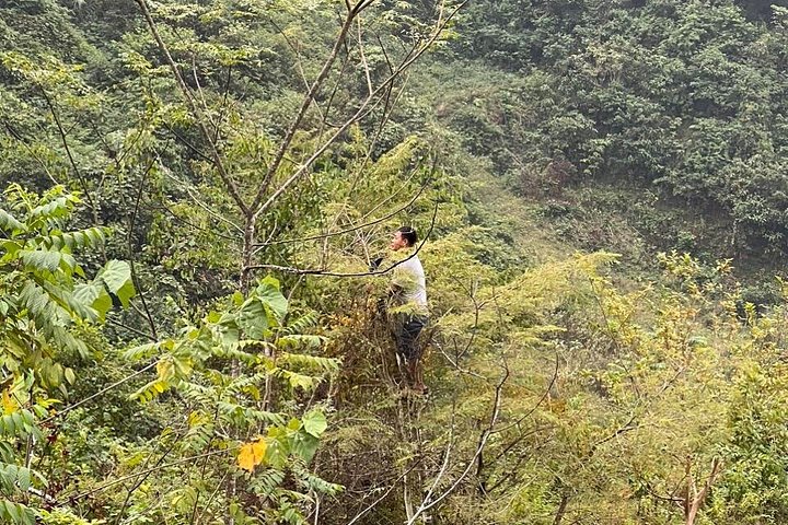 Trekking Ban Gioc Waterfall al villaggio nascosto su un percorso unico