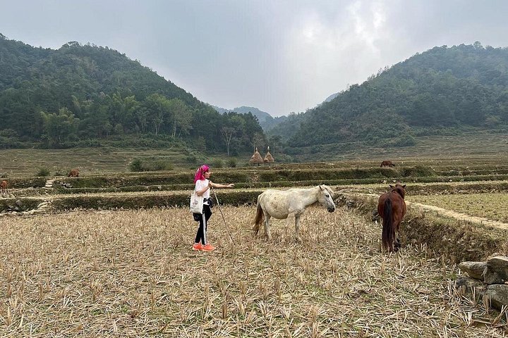 Trekking Ban Gioc Waterfall al villaggio nascosto su un percorso unico