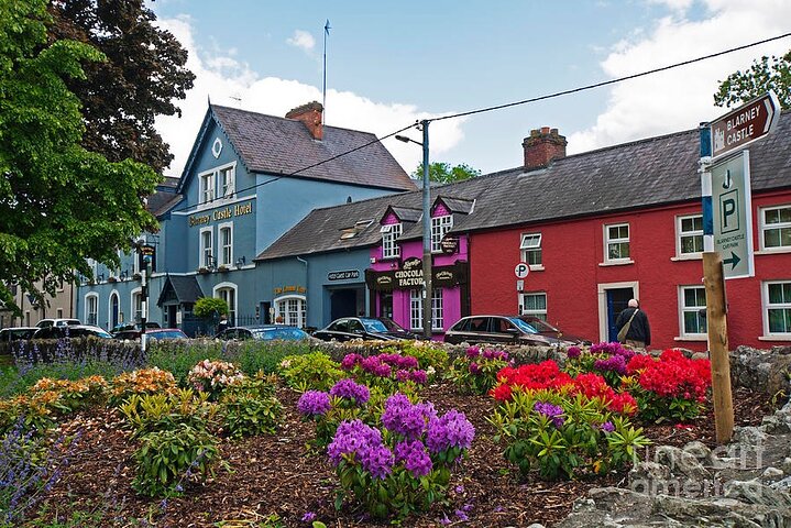 Tour de fácil acceso a la piedra de Blarney y a los jardines del castillo