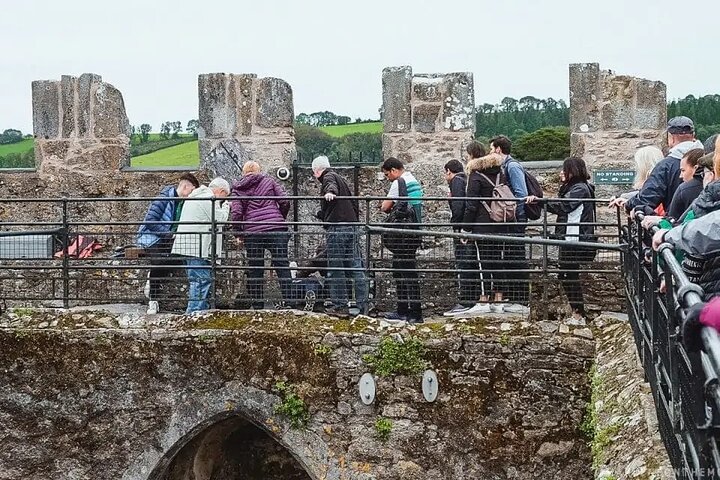 Tour de fácil acceso a la piedra de Blarney y a los jardines del castillo