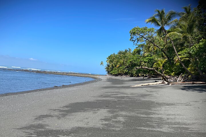 2 dagar 1 natt Corcovado Jungle Adventure Sirena Ranger Station