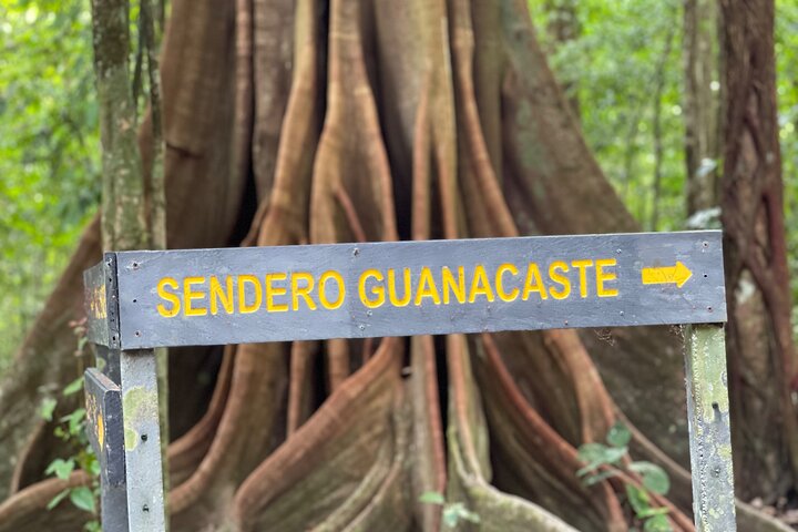 2 dagar 1 natt Corcovado Jungle Adventure Sirena Ranger Station