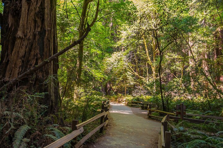 San Francisco, Muir Woods, Sausalito och valfri Alcatraz Tour