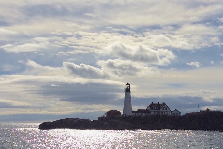 Harbor Lights and Sights Cruise
