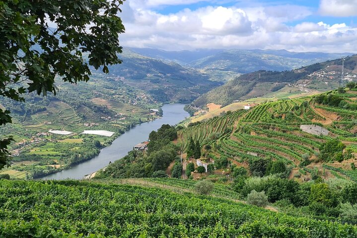 Privat Douro Valley Tour (2 vingårder + båt)