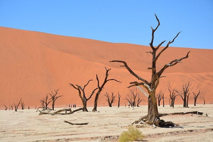 3 Day Scenic Sossusvlei Adventure in Namibia from Swakopmund