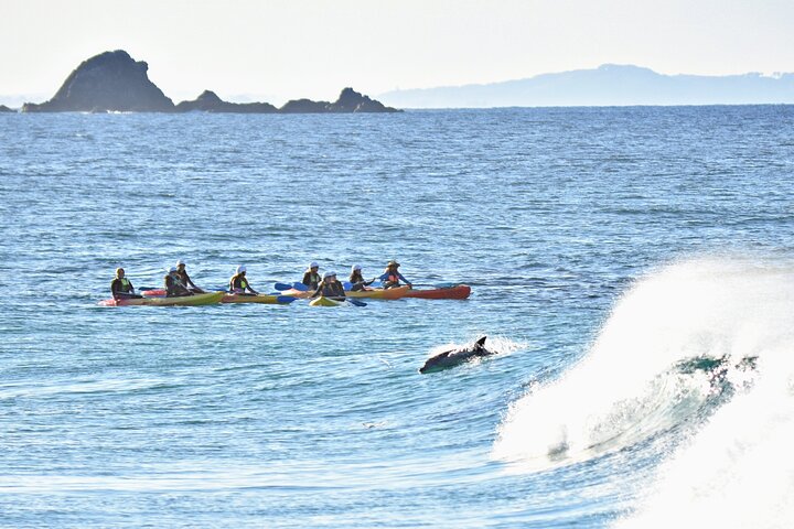 Hoteller i nærheden af Byron Bay Sea Kayak Tour