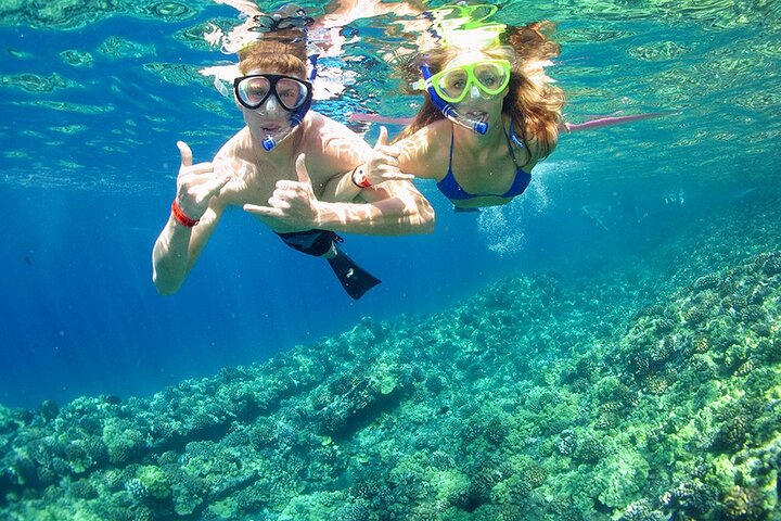 Ras Mohamed & White Island luxe jachtreis Sharm el Sheikh