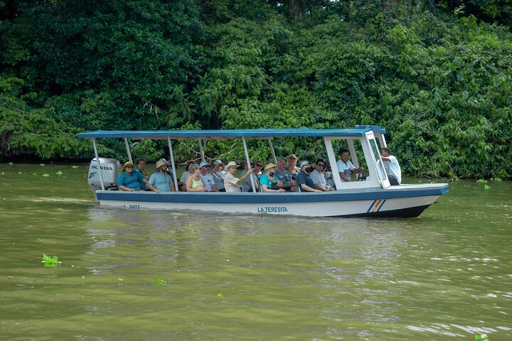 Adventure Combo Tour : aventure en tyrolienne et canaux de Tortuguero