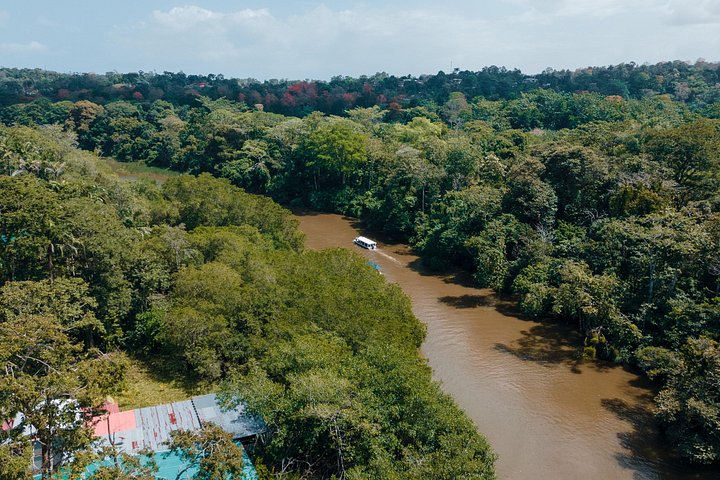 Adventure Combo Tour : aventure en tyrolienne et canaux de Tortuguero