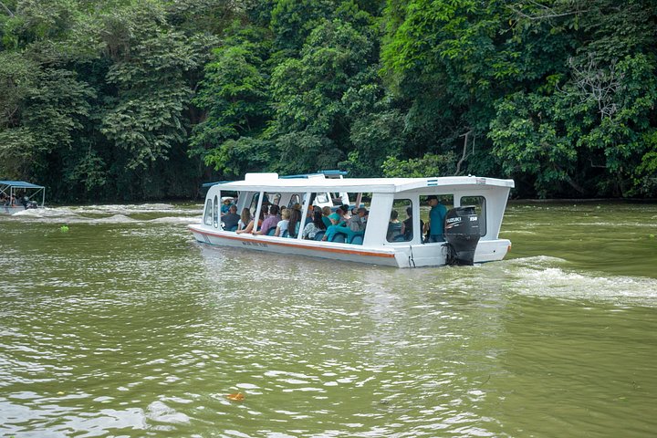 Adventure Combo Tour : aventure en tyrolienne et canaux de Tortuguero